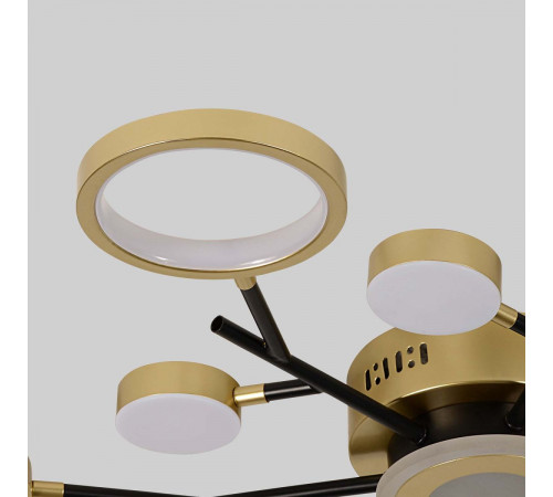 Потолочный светильник F-Promo Hybrid 4686-13C