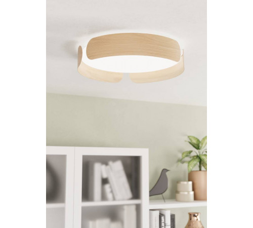 Настенно-потолочный Eglo Valcasotto 901827