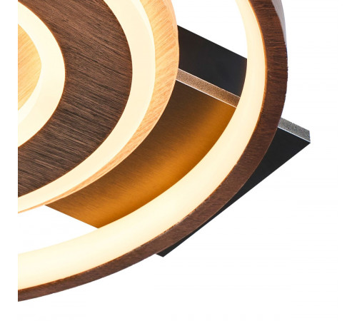 Потолочный светильник F-Promo Labrea 4699-1C