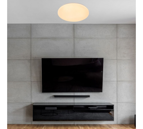 Потолочный светильник Escada Galatea 10216/SG LED APP