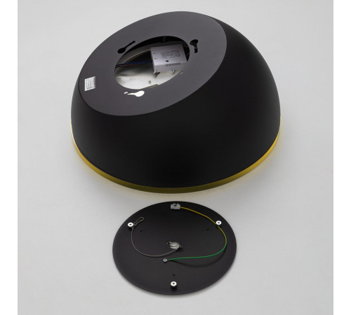 Потолочный светильник Citilux Floom CL736151