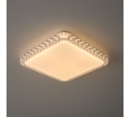 Потолочный светильник Freya Bissar FR6227CL-L36W