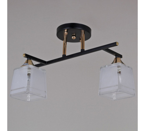 Потолочный светильник Reluce 46460-0.3-02 BK+FG