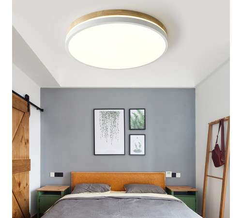 Потолочный светильник ImperiumLoft Disc Dh 189900-26