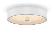 Потолочный светильник Freya Cells FR10011CL-L24W