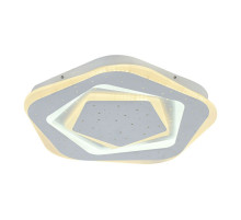 Потолочный светодиодный светильник F-Promo Ledolution 2281-5C