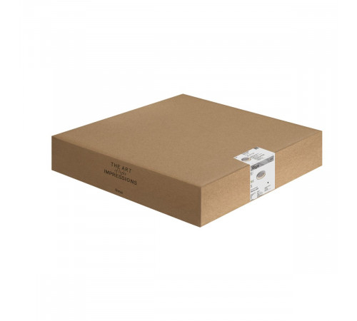 Потолочный светильник Freya Ringle FR6219CL-L80W