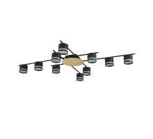Потолочный светильник Lumion Comfi Agnia 8304/10C