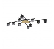 Потолочный светильник Lumion Comfi Agnia 8304/10C