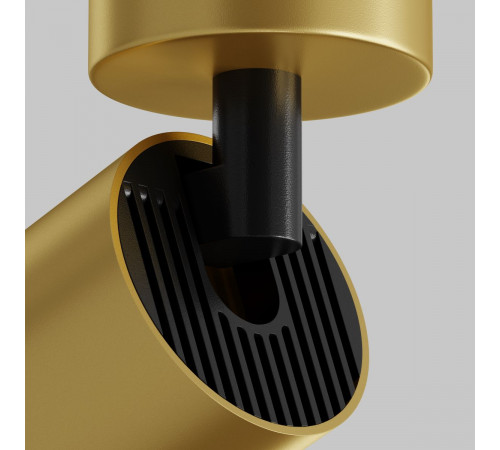 Потолочный светильник Maytoni Technical Focus C017CW-01MG-N