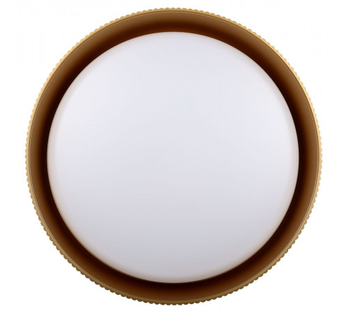 Потолочный светильник ЭРА Классик SPB-6 Bella 48W-3K-6,5K BK 3000-6500К Б0070194