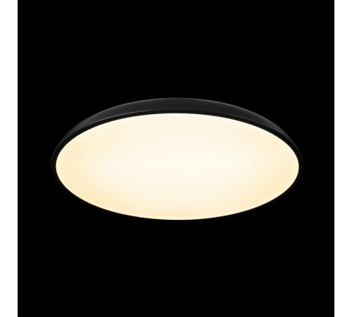 Потолочный светильник Loft IT Dime 10371 Black