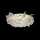 Потолочный светильник Loft IT Clizia 10594/530C White