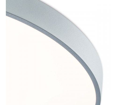 Потолочный светильник Freya Sprida FR6129CL-L80GR