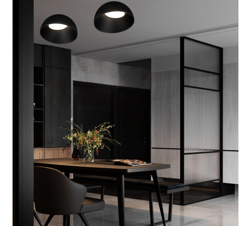 Потолочный светильник Loft IT Egg 10197/350 BB