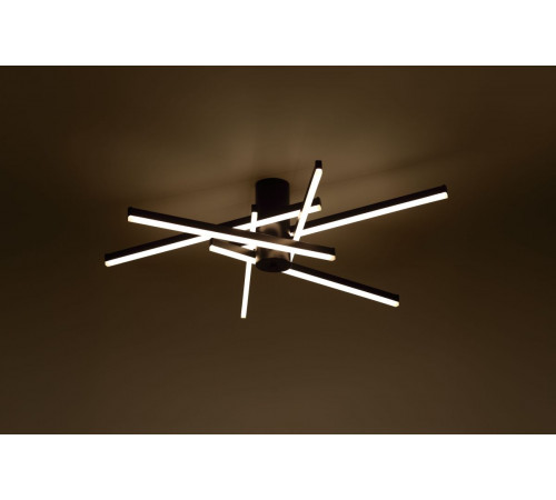 Потолочный светильник Rivoli Violet 6180-201