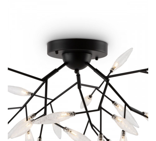 Потолочный светильник Freya Iris FR5067CL-27B