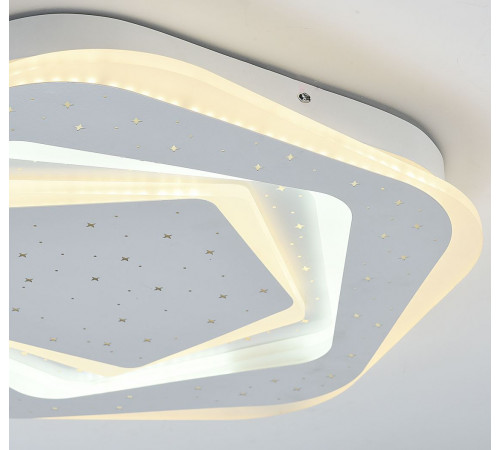 Потолочный светодиодный светильник F-Promo Ledolution 2281-5C