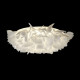 Потолочный светильник Loft IT Clizia 10594/780C White