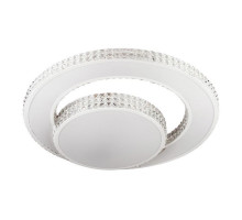 Потолочный светодиодный светильник Escada 10205/2LED