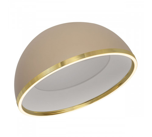 Потолочный светильник Citilux Floom CL736152
