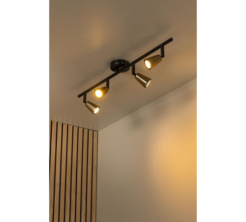 Потолочный светильник Lucide Tiana 65901/04/05