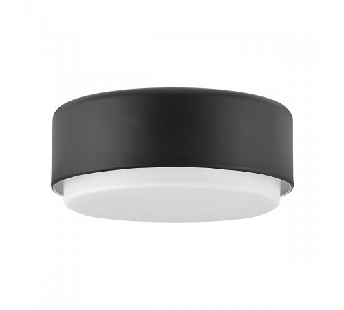 Потолочный светильник Hinkley HK-CEDRIC-F-S-BK