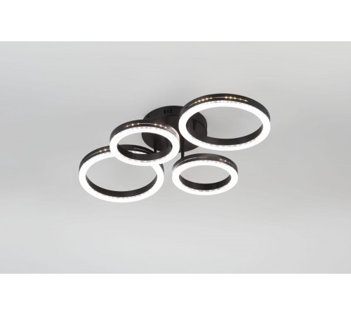 Потолочный светильник Rivoli Flora 6191-201