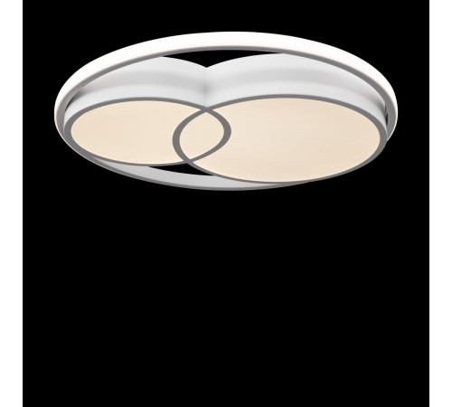 Потолочный светильник Freya Tucene FR10029CL-L70W