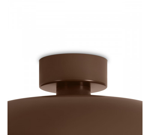 Потолочный светильник Freya Movement FR5602CL-L10BR