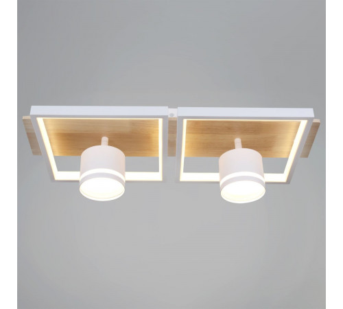 Потолочный светильник Reluce 19560-0.3-2+2 WH+WOOD
