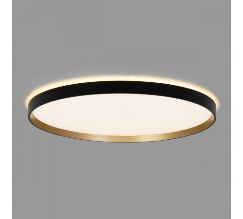 Потолочный светильник Citilux Etalon CL750501R