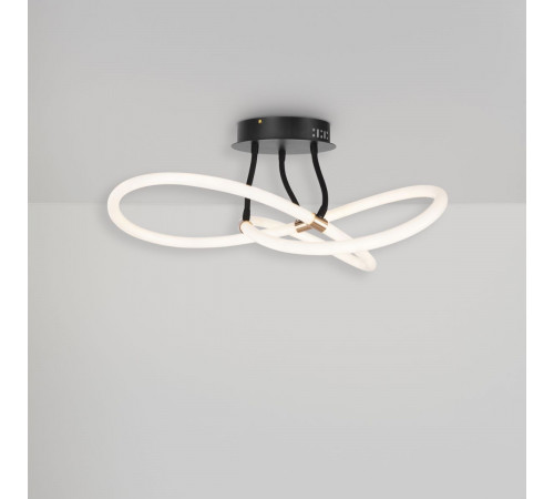 Потолочный светильник Freya Fancy FR6059CL-L35B