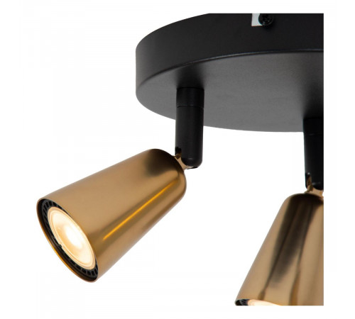 Потолочный светильник Lucide Tiana 65901/13/05