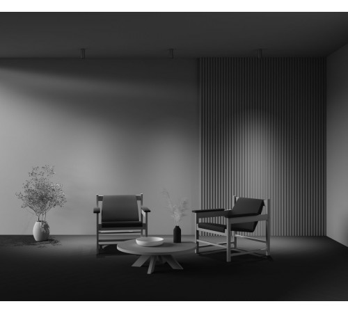 Потолочный светильник Maytoni Technical Focus Led Focus Led C056CL-L12W3K-W-PT