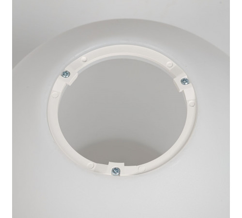 Потолочный светильник Citilux Ron CL941D20B1