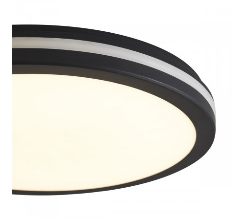Потолочный светильник Freya Rua FR6160CL-L40B