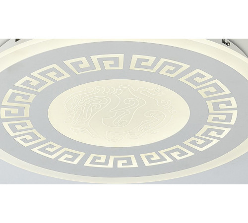 Потолочный светодиодный светильник F-Promo Ledolution 2273-8C