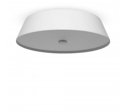 Потолочный светильник Freya Cells FR10013CL-L24W