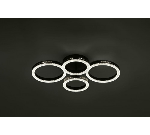 Потолочный светильник Rivoli Flora 6191-201