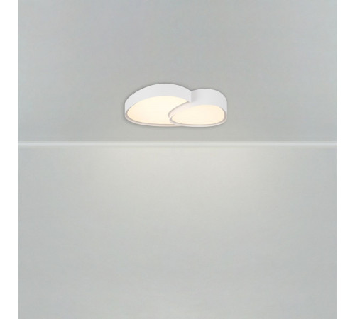 Потолочный светильник Freya Modesty FR6079CL-L72W