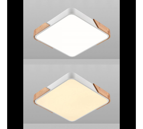 Потолочный светильник Natali Kovaltseva Scandinavian LED LAMPS 81410 Потолочный светильник Natali Kovaltseva Scandinavian LED LAMPS 81410