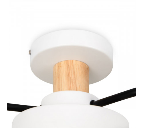 Потолочный светильник Freya Crown FR6119CL-L48W