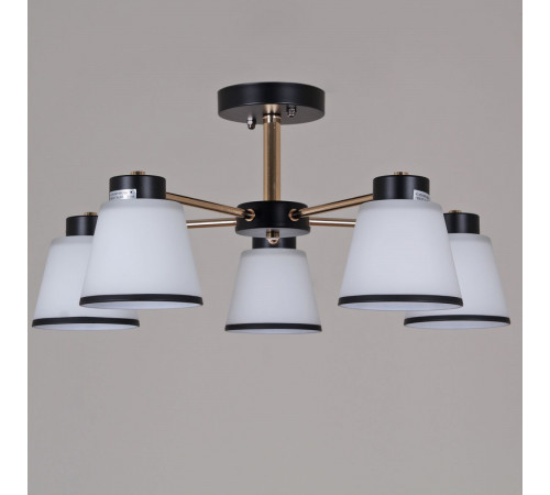 Люстра на штанге Reluce 30560-0.3-05 BK+FG