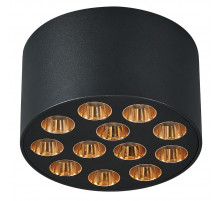 Потолочный светильник Lightstar Guarda 080942