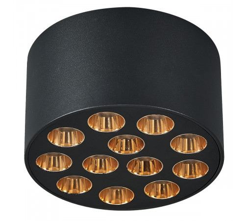 Потолочный светильник Lightstar Guarda 080942