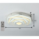 Потолочный светодиодный светильник F-Promo Ledolution 2289-5C