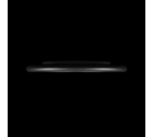 Потолочный светильник  LOFT IT Sweety 10454/400 Black