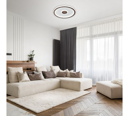 Потолочный светильник Freya Freya Orbit FR5421CL-L80BR