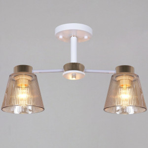 Потолочный светильник Reluce 20560-0.3-02 WH+FG